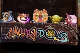 Angry Dogs