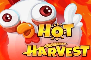 Hot Harvest